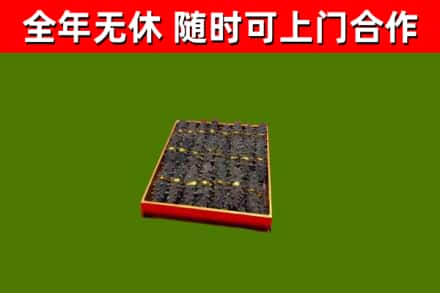鸡西市回收海参